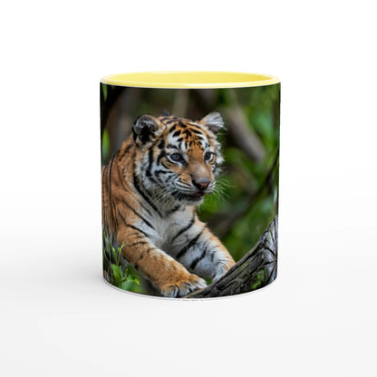 037ab9ca-fd4a-465f-9e16-df0c57552e7d