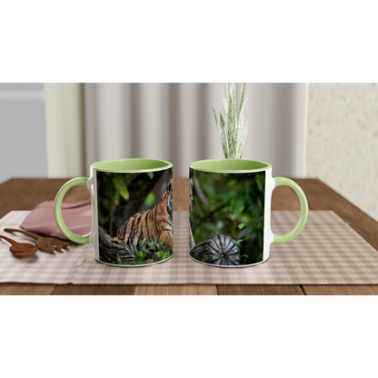 1d6db61d-6c89-4b96-8e64-12688c3a10a7