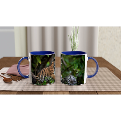 87dad138-dbdc-46c3-81bc-6ecf14b1a9bc