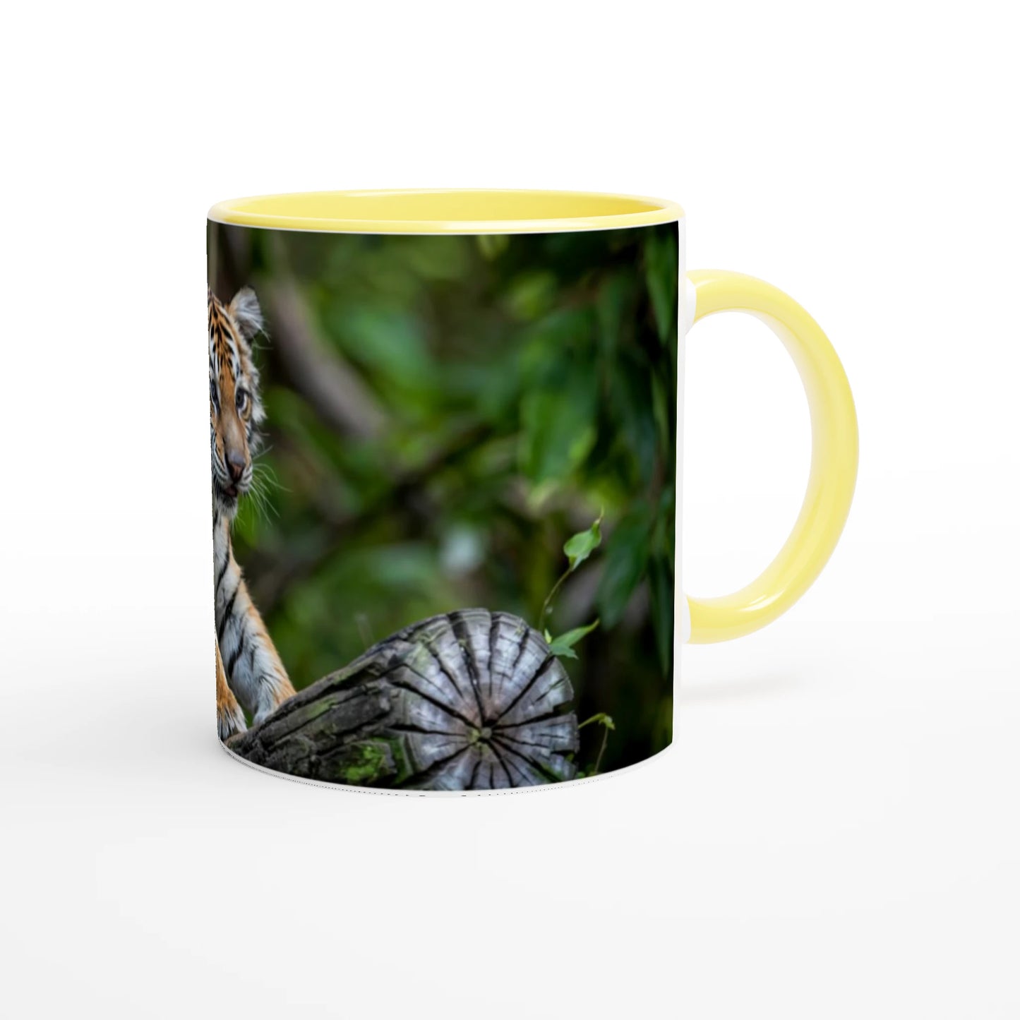 9b4316d2-d4d5-4dfd-ba45-2b76ffd2d7e9