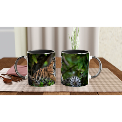 d6469ac5-45f9-461f-8781-31530c96b834