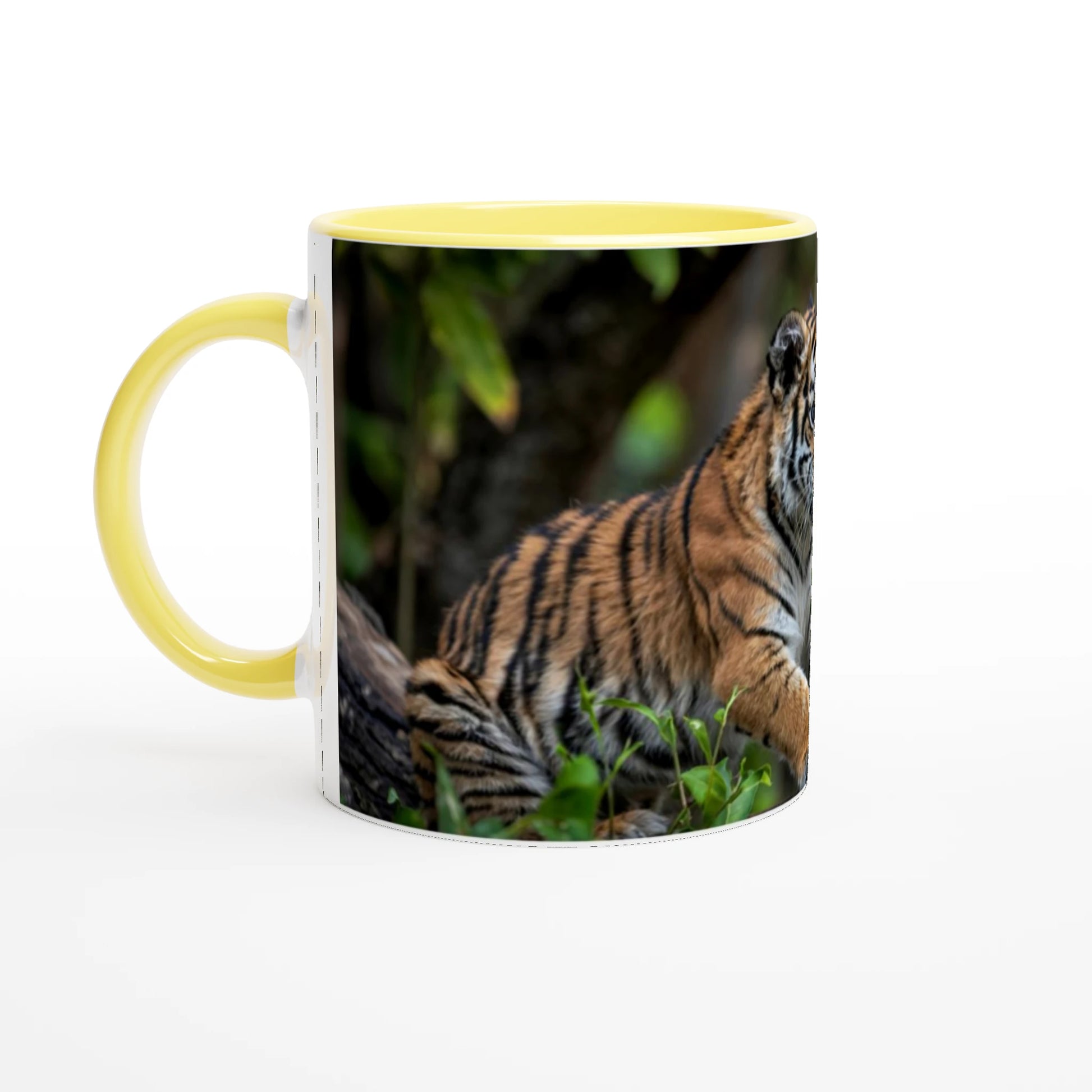 e1709ee5-5fd6-413c-8ae1-3a87b50000e4