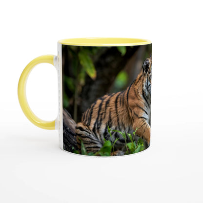 e1709ee5-5fd6-413c-8ae1-3a87b50000e4